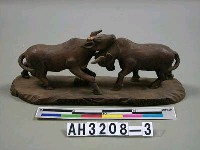 藏品(鬥牛)的圖片